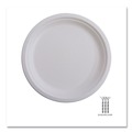 Bowls and Plates | Eco-Products EP-P016NFA Vanguard 6 in. diameter Renewable and Compostable Sugarcane Plates - White (1000/Carton) image number 8