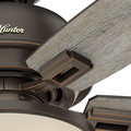 Ceiling Fans | Hunter 52225 44 in. Donegan Onyx Bengal Ceiling Fan with Light image number 3