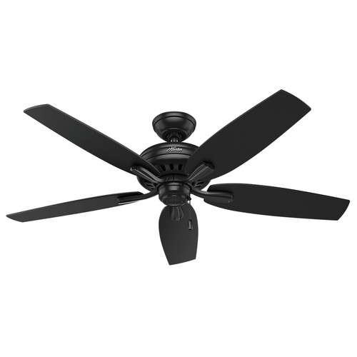Ceiling Fans | Hunter 53324 52 in. Newsome Black Ceiling Fan image number 0