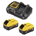 Battery and Charger Starter Kits | Factory Reconditioned Dewalt DCB208-2CR 20V MAX 8 Ah Lithium-Ion Battery Starter Kit image number 0