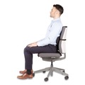 Office Furniture & Lighting | Fellowes Mfg Co. 9190701 12 in. x 3.13 in. x 5.19 in. Lumbar Back Support - Black image number 4