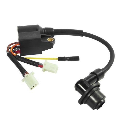Generator Accessories | Quipall 97501 Ignition Coil (for 2200i Engine) image number 0