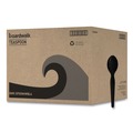 Cutlery | Boardwalk BWKSPOONHWBLA Heavyweight Polystyrene Teaspoon Cutlery - Black (1000/Carton) image number 0