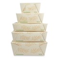 Food Trays, Containers, and Lids | World Centric TO-NT-1 4.2 in. x 5.2 in. x 2.5 in. 26 oz. Sugarcane No Tree Folded Takeout Containers - Natural (450/Carton) image number 3