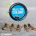 Cleaning & Janitorial Supplies | Combat 23400 07172 Max 2-in-1 Ant Bait (8/Carton) image number 2