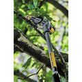 Outdoor Power Combo Kits | Dewalt DCPS620M1-DCPH820BH 20V MAX XR Brushless Lithium-Ion Cordless Pole Saw and Pole Hedge Trimmer Head with 20V MAX Compatibility Bundle (4 Ah) image number 12