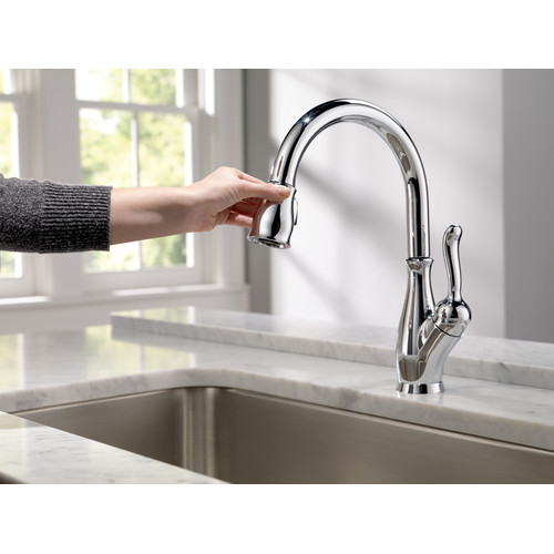 Delta 9178-DST Leland ShieldSpray Single Handle Pull-Down ...