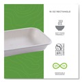 Food Trays, Containers, and Lids | Eco-Products EP-SCRC16NFA 16 oz 7 x 5 x 1 Vanguard Worldview Renewable and Compostable Sugarcane Take-Out Containers - White (400/Carton) image number 3