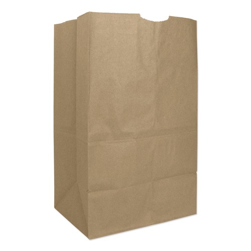 Office Jansan | Ross & Wallace Paper Products 130321500PK/BL 8.13 in. x 5.88 in. x 12.5 in. #20 Squat Size Extra-Heavy-Duty Grocery Paper Bags - Kraft (500/Bundle) image number 0