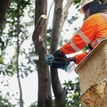 Chainsaws | Makita XCU14Z 18V LXT Brushless Lithium‑Ion Cordless 6 in. Pruning Saw (Tool Only) image number 11