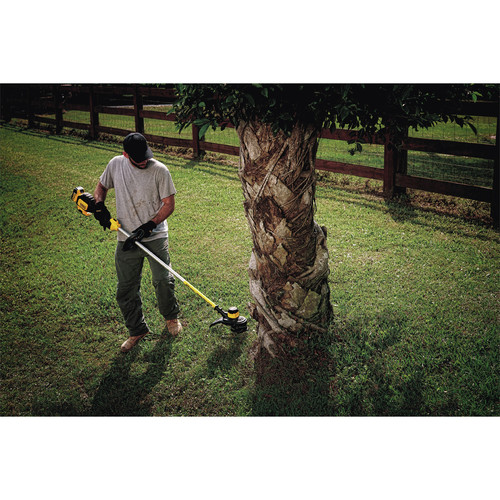 dewalt dcst920p1r