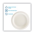 Bowls and Plates | Dixie DBP09W 8.5 in. Paper Dinnerware Plates - White (125/Pack) image number 1