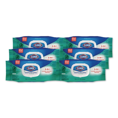 Cleaning & Janitorial Supplies | Clorox 31430 8 in. x 7 in. 1-Ply Flex Pack Disinfecting Cleaning Wipes - Fresh Scent White (6/Carton) image number 0