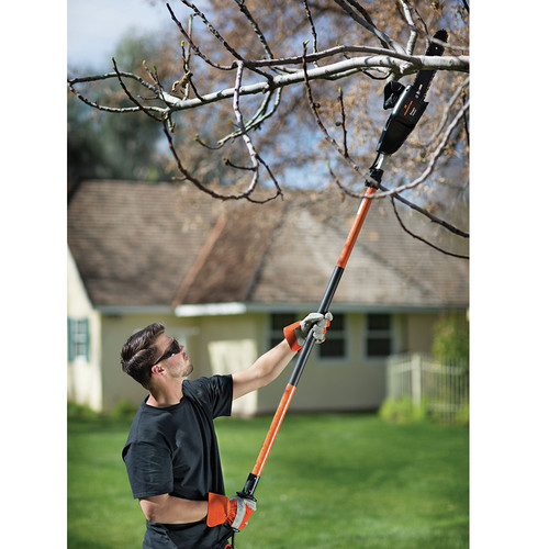 Remington 41AZ32PG983 8 Amp 10 in. 2in1 Electric Pole Saw