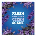Office Jansan | Pine-Sol 60608CT CloroxPro 80 oz. Bottle Multi-Surface Cleaner Concentrated - Lavender Clean Scent (3/Carton) image number 5