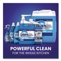 Dish Soaps | Dawn Professional 45112 38 oz. Manual Pot/ Pan Dish Detergent image number 4