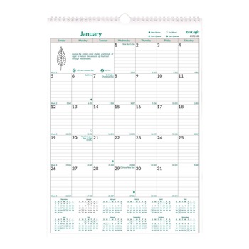 Brownline 12-Month (Jan to Dec): 2026 12 in. x 17 in. EcoLogix Artwork Monthly Wall Calendar - White/Green Sheets