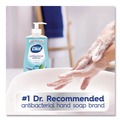 Hand Soaps | Dial 17000 20952 11 oz. Antibacterial Liquid Hand Soap - Spring Water Scent (12/Carton) image number 4