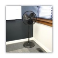 Floor Fans | Alera ALEFANP16B 120V 0.37 Amp 3-Speed 16 in. Pedestal Stand Fan - Black image number 4