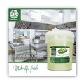 Odor Control | OdoBan 911062-5G CONCENTRATED ODOR ELIMINATOR AND DISINFECTANT, EUCALYPTUS, 5 GAL PAIL image number 1