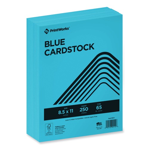Cleaning & Janitorial Supplies | PrintWorks Professional 00114 8.5 in. x 11 in. 65 lbs. Text Weight Color Cardstock - Blue (1-Ream) image number 0