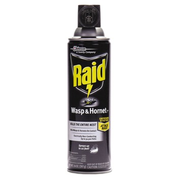 Raid 14-Ounce Wasp and Hornet Killer Spray (12/Carton)