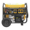 Portable Generators | Firman FGP08004 Performance Series /240V 8000W Remote Generator image number 0