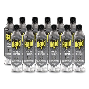 Raid 14-Ounce Wasp and Hornet Killer Spray (12/Carton)