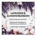 Odor Control | Air Wick 62338-02034 0.67 oz. Essential Mist Starter Kit - Lavender and Almond Blossom (4/Carton) image number 7