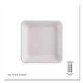 Food Trays, Containers, and Lids | Eco-Products EP-SCS9TNFA 47 oz 9 x 9 x 1.5 Vanguard Worldview Renewable and Compostable Sugarcane Take-Out Containers - White (200/Carton) image number 2