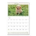 Calendars & Planners | AT-A-GLANCE DMW16728 12-Month (Jan to Dec): 2026 15.5 in. x 22.75 in. Puppies Photography Puppies Monthly Wall Calendar - White/Multicolor Sheets image number 0