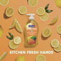 Hand Soaps | Softsoap US04206A 11.25 oz. Antibacterial Hand Soap - Citrus Scent image number 4
