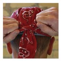 Cooling Gear | Ergodyne 12479 Chill-Its 6615 One Size Fits Most High-Performance Bandana Doo Rag with Terry Cloth Sweatband - Red Western image number 2