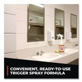 Odor Control | Simple Green 0710101204032 32 oz Ready-To-Use Pro Odor Control - Herbal (12/Carton) image number 6