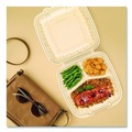 Food Trays, Containers, and Lids | Dart 90PPHT3 9 in. x 8.75 in. x 3 in. 3-Compartments ProPlanet Microwaveable Plastic Hinged Containers - Clear (150/Carton) image number 6