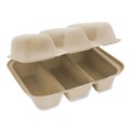 Food Trays, Containers, and Lids | World Centric TO-SC-T3-LFS 8.8 in. x 8.2 in. x 2.9 in. Paper Fiber Hinged Containers - Natural (300/Carton) image number 0