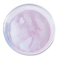 Cups and Lids | Boardwalk BWKPET14 14 oz. PET Cups - Clear (50/Bag, 20 Bags/Carton) image number 3
