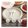 Food Service | World Centric RK-PS-B TPLA Compostable Plastic Cutlery Spork - White (1000/Carton) image number 1