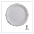 | Eco-Products EP-P016 6 in. Renewable Sugarcane Plates - Natural White (20 Packs/Carton) image number 6