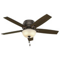 Ceiling Fans | Hunter 53342 52 in. Donegan Onyx Bengal Ceiling Fan with Light image number 1