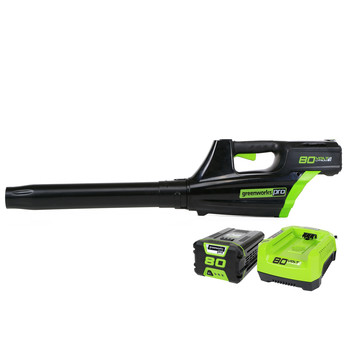 greenworks 2100202