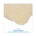 Cleaning Cloths | Boardwalk BWK4516 16 in. Lambswool Mop Head Applicator Refill Pad - White image number 5