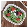 Food Trays, Containers, and Lids | World Centric CT-SC-U2L-LF 6.7 in. x 8.7 in. x 2.1 in. 30 oz. Sugarcane Fiber Laminated Fiber Containers - Natural (400/Carton) image number 1