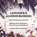 Odor Control | Air Wick 62338-02034 0.67 oz. Essential Mist Starter Kit - Lavender and Almond Blossom (4/Carton) image number 6