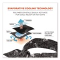 Cooling Gear | Ergodyne 12329 Chill-Its 6700 One Size Fits Most Cooling Bandana Polymer Tie Headband - Skulls image number 1