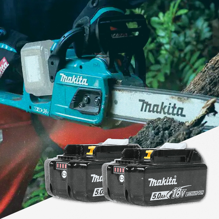 FREE Makita 2-Piece 18V LXT 5 Ah Batteries FREE Makita 2-Piece 18V LXT 5 Ah Batteries