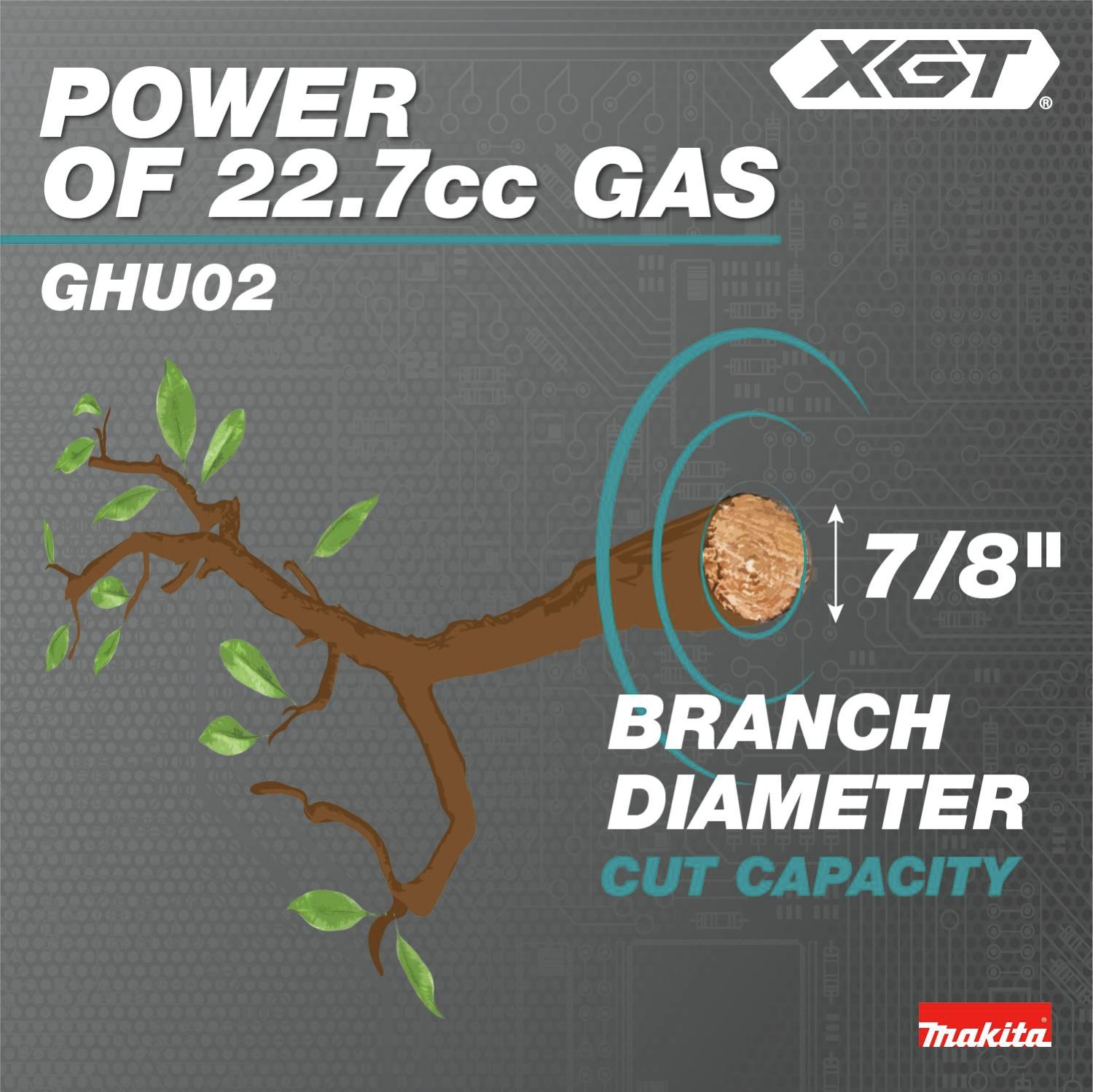Power of 22.7cc Gas: 7/8 in. branch diameter cut capacity