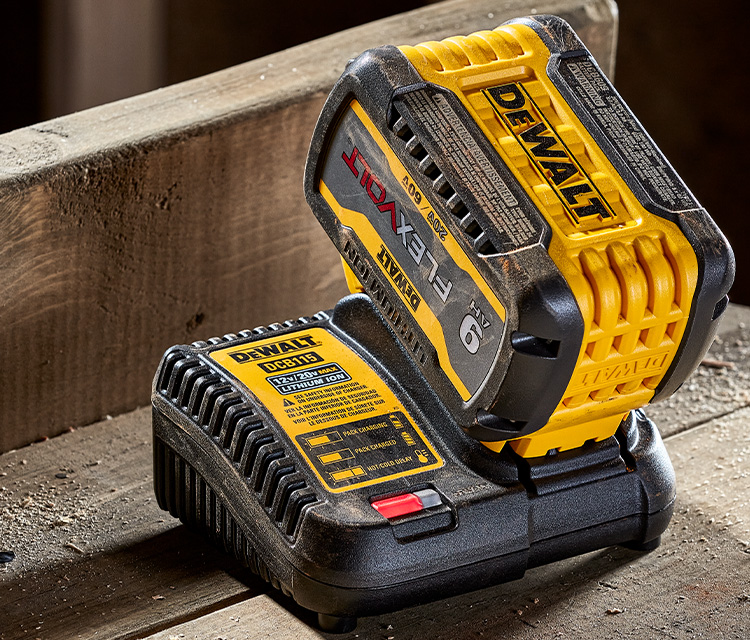 DEWALT 20-V 4 Amp-Hour; Lithium-ion Battery Charger Station (Charger  Included) in the Power Tool Batteries & Chargers department at